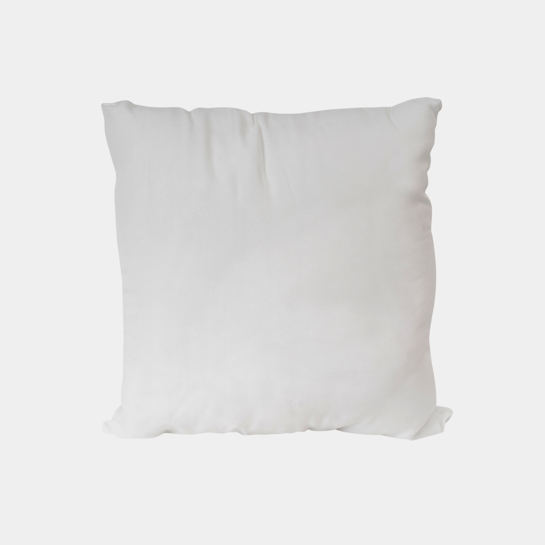 Velvet Cushion
